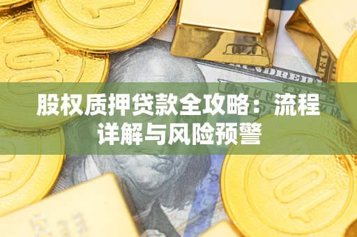武汉股权质押贷款全攻略：流程详解与风险预警