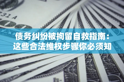 武汉债务纠纷被拘留自救指南：这些合法维权步骤你必须知道！