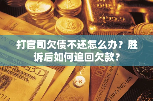 武汉打官司欠债不还怎么办？胜诉后如何追回欠款？