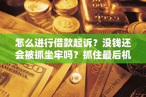 武汉怎么进行借款起诉？没钱还会被抓坐牢吗？抓住最后机会！