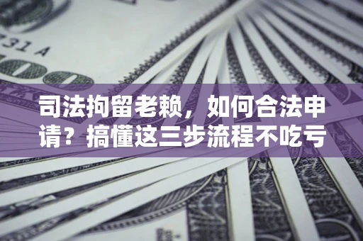 武汉司法拘留老赖，如何合法申请？搞懂这三步流程不吃亏！