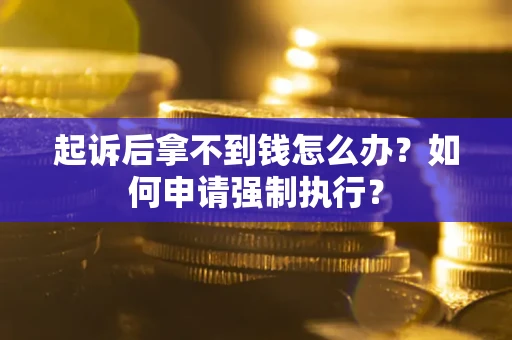 武汉起诉后拿不到钱怎么办？如何申请强制执行？