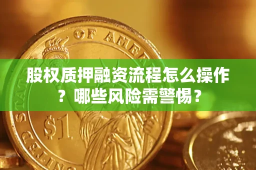 武汉股权质押融资流程怎么操作？哪些风险需警惕？