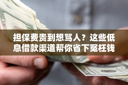 武汉担保费贵到想骂人？这些低息借款渠道帮你省下冤枉钱