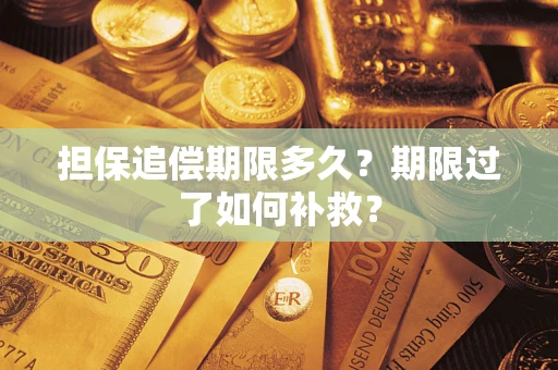 武汉担保追偿期限多久？期限过了如何补救？