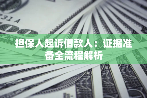 武汉担保人起诉借款人：证据准备全流程解析