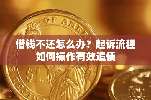 武汉借钱不还怎么办？起诉流程如何操作有效追债