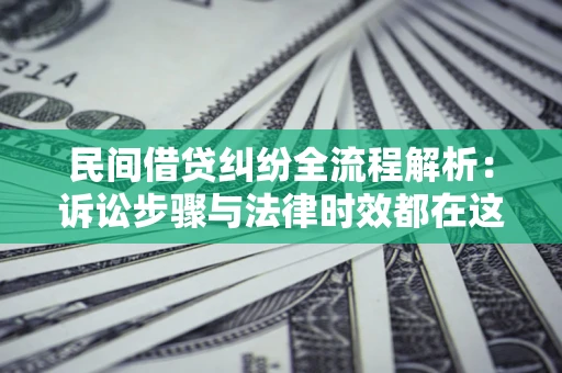 武汉民间借贷纠纷全流程解析：诉讼步骤与法律时效都在这儿了