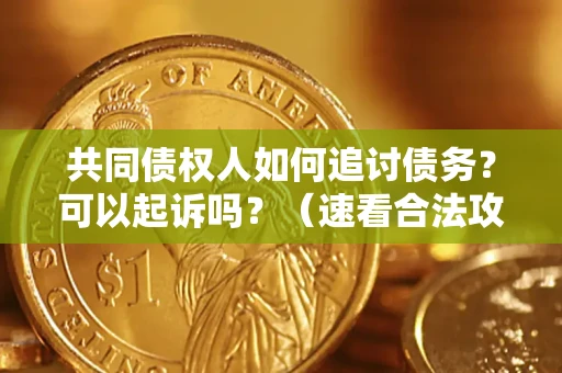 武汉共同债权人如何追讨债务？可以起诉吗？（速看合法攻略）