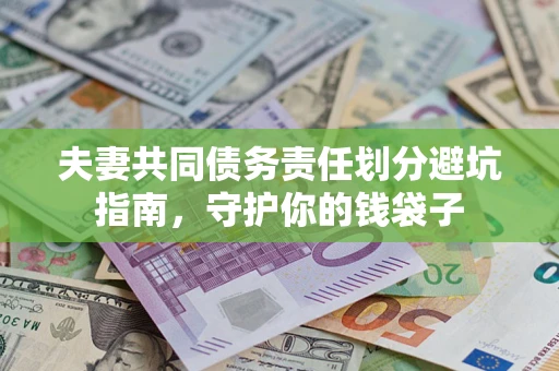 武汉夫妻共同债务责任划分避坑指南，守护你的钱袋子