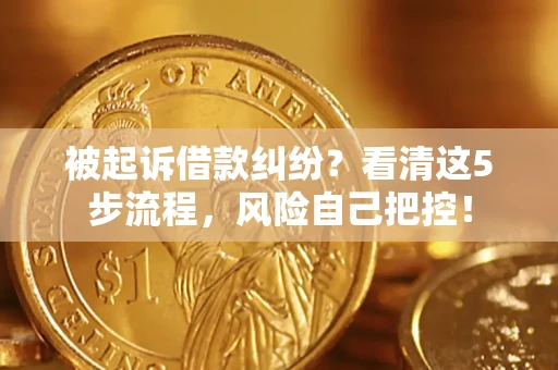 武汉被起诉借款纠纷？看清这5步流程，风险自己把控！