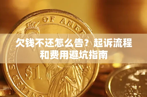 武汉欠钱不还怎么告?起诉流程和费用避坑指南 武汉欠钱不还怎么告?起诉流程和费用避坑指南