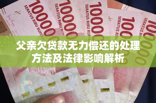 武汉父亲欠贷款无力偿还的处理方法及法律影响解析