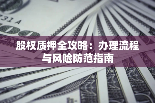 武汉股权质押全攻略：办理流程与风险防范指南