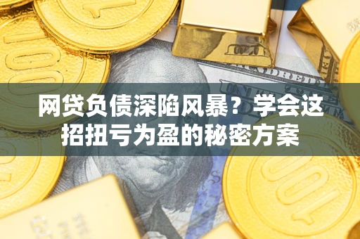 武汉网贷负债深陷风暴？学会这招扭亏为盈的秘密方案