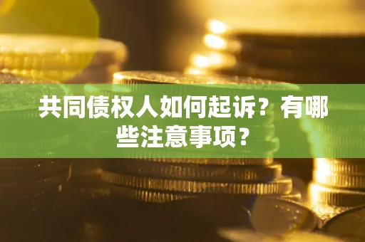 武汉共同债权人如何起诉？有哪些注意事项？